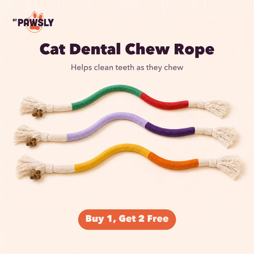 byPawsly Cat Dental Chew Rope
