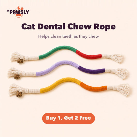 Cat Dental Chew Rope