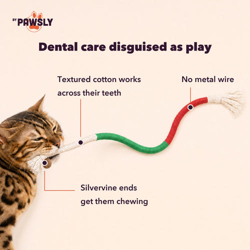 byPawsly Cat Dental Chew Rope