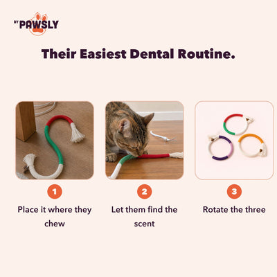 Their Easiest Dental Routine.