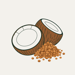 Organic Coconut Sugar